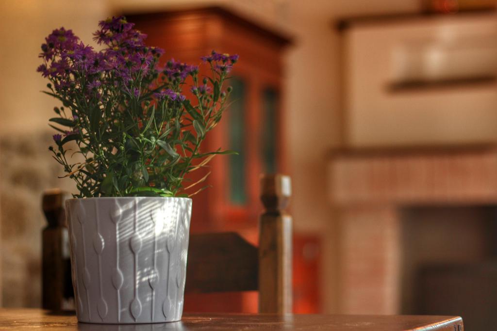 Country House Cozzena مازلِيانيكو المظهر الخارجي الصورة